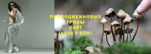 индика Магадан