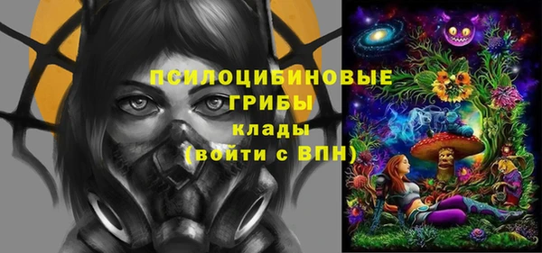 индика Магадан