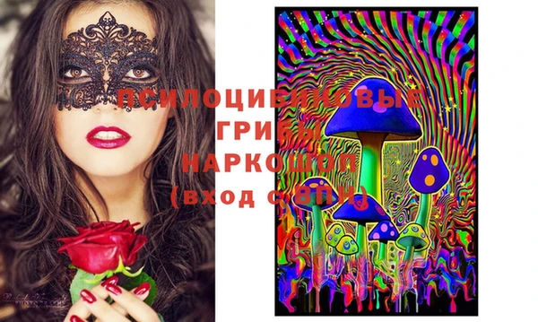 индика Магадан
