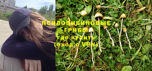 индика Магадан