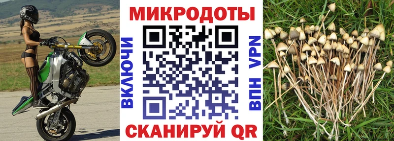 Галлюциногенные грибы MAGIC MUSHROOMS  закладки  Дыгулыбгей 